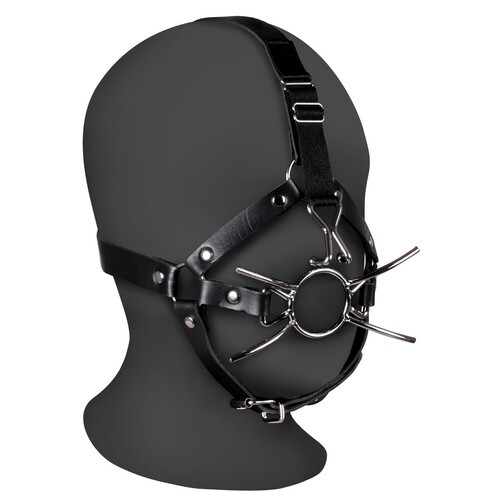 Ouch Xtreme Head Harness with Gag