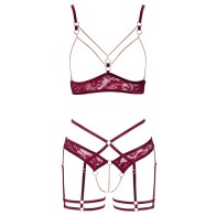 Abierta Fina Open Red Lace Set for Seductive Nights