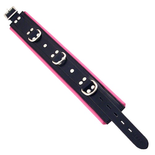 Black and Pink Padded Collar - Stylish Restraint