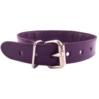 Rouge Purple Studded O-Ring Collar for BDSM