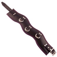 Rouge Black and Purple Posture Collar for Stylish Bondage