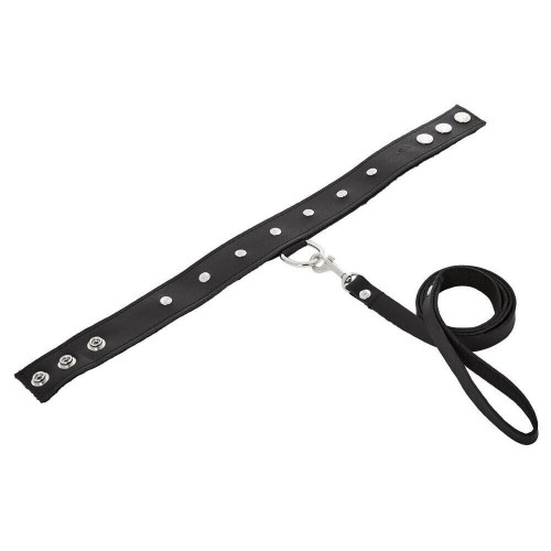 SportSheets Leather Leash and Collar