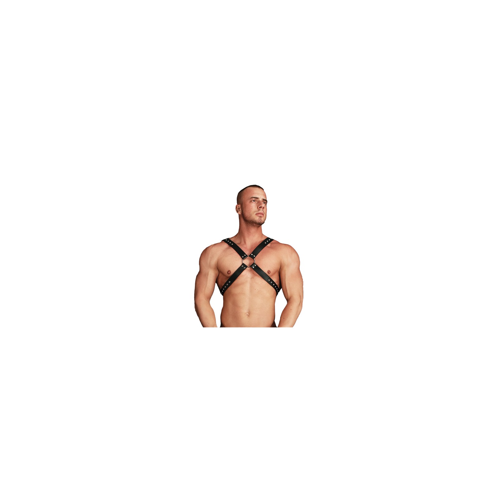 Ouch Adonis High Halter Harness for Stylish BDSM