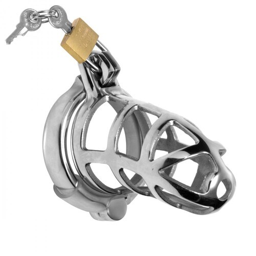 Master Series Chastity Cock Cage for Secure Play