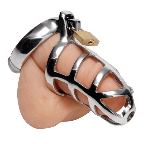 Master Series Chastity Cock Cage for Secure Play