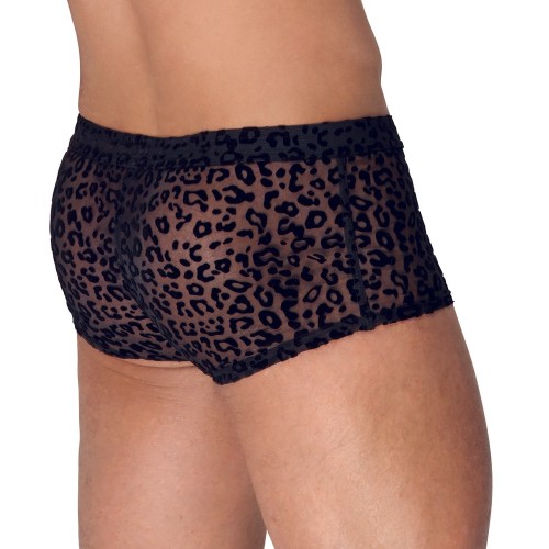 Pantalones Transparentes con Animal Print Noir Medianos