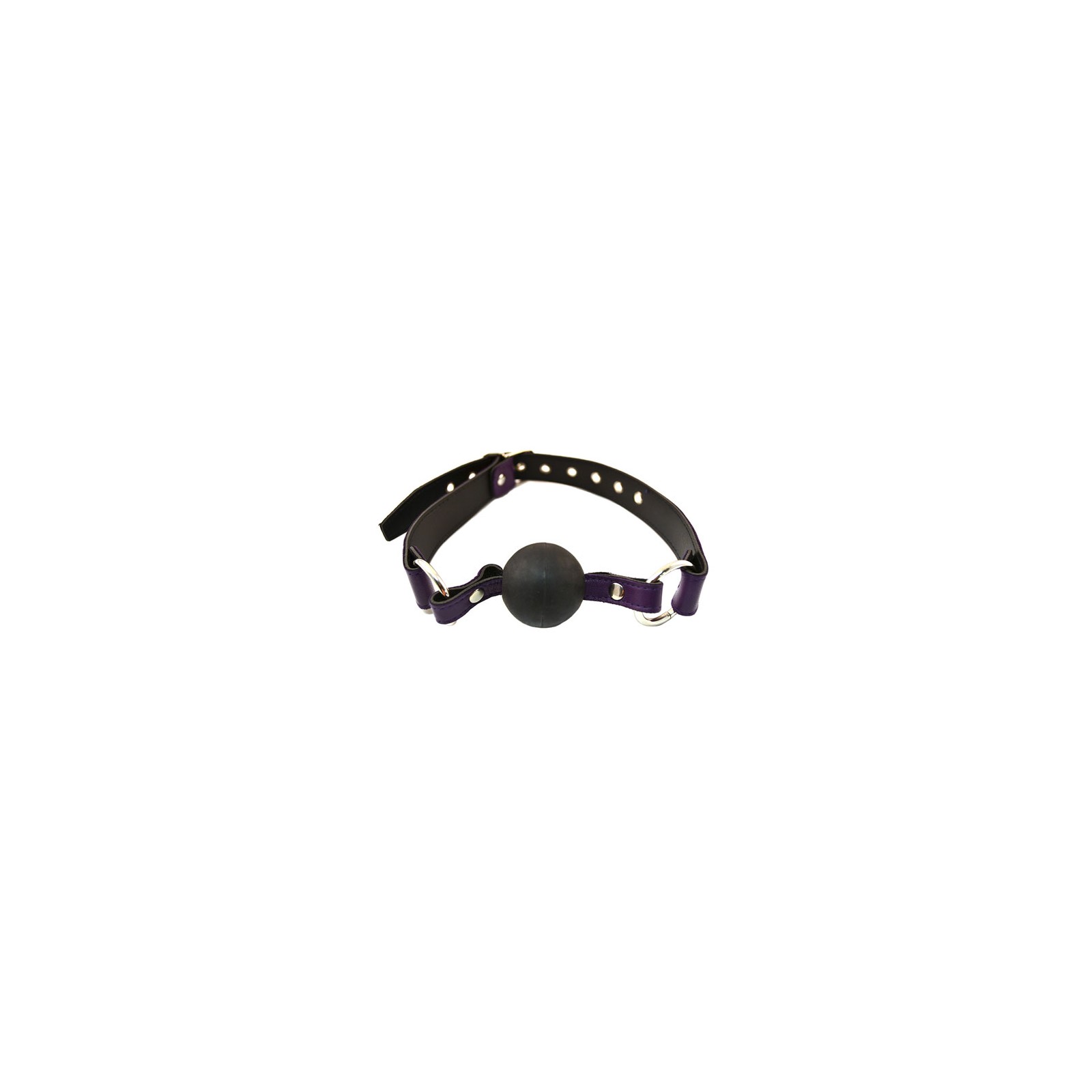 Rouge Garments Purple Ball Gag for Restraint