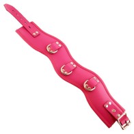 Padded Leather Posture Collar