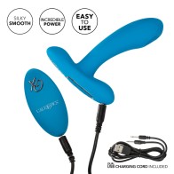 Remote Controlled Pulsing Pleaser for Exciting Stimulation