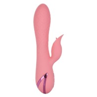 Vibrador Clitorial Recargable Pasadena Player