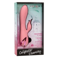 Vibrador Clitorial Recargable Pasadena Player