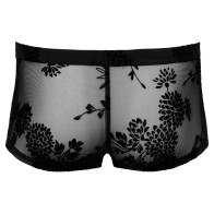 Pantalones de Encaje Floral Transparente Noir Grande