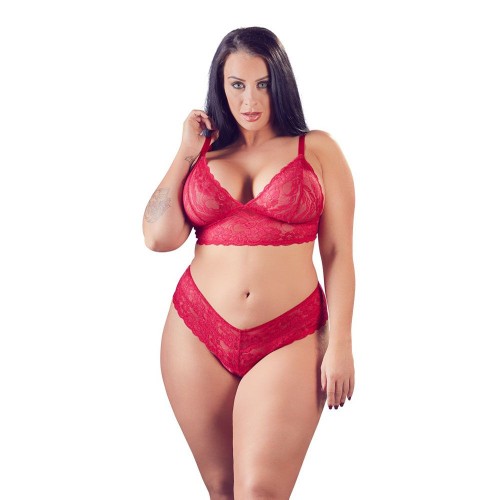 Cottelli Plus Size Red Lace Bra And Briefs XXXL