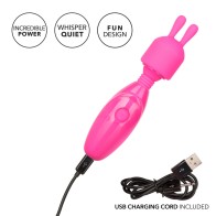 Tiny Teasers Bunny Vibrator for Discreet Pleasure