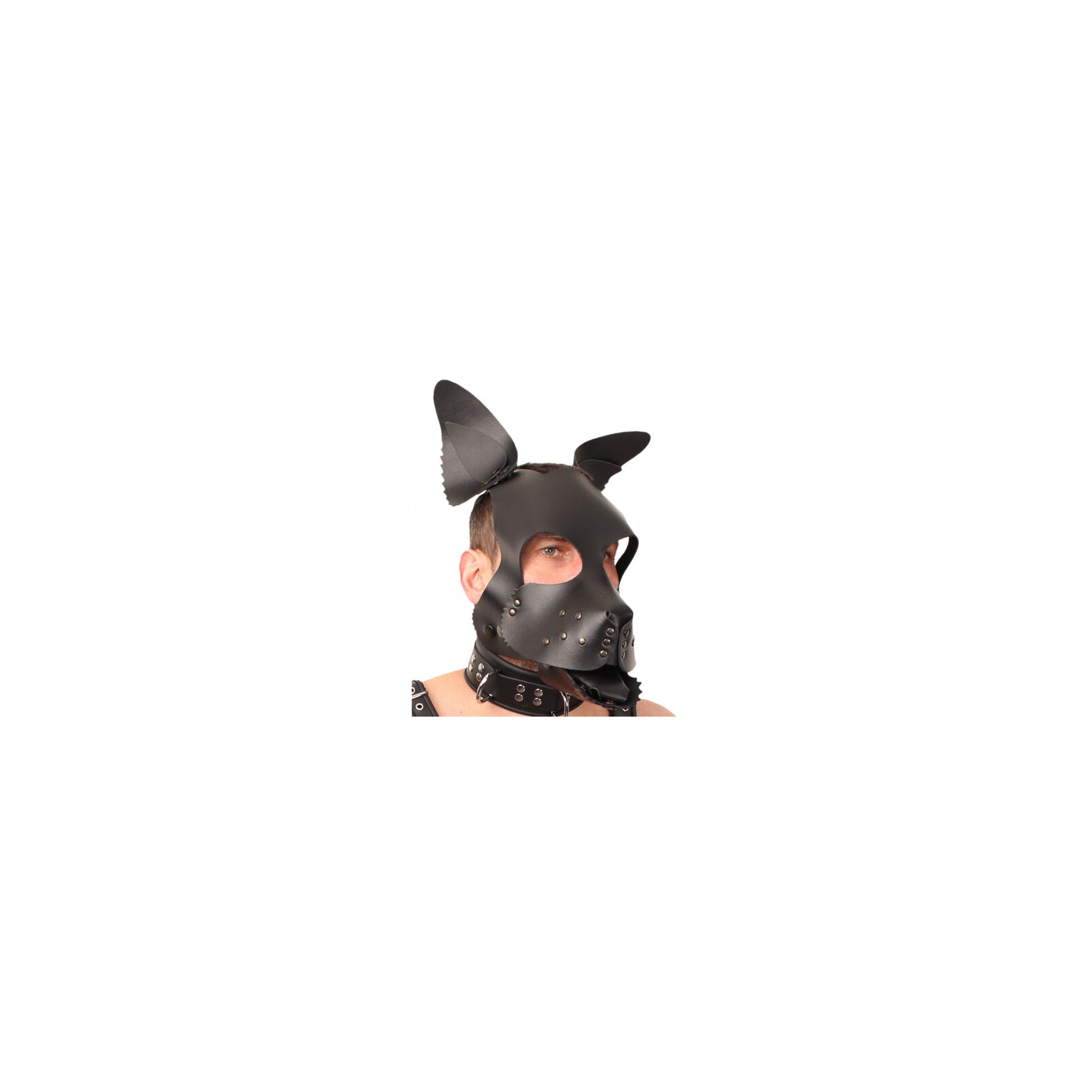 The Red Leather Puppy Dog Mask for Roleplay