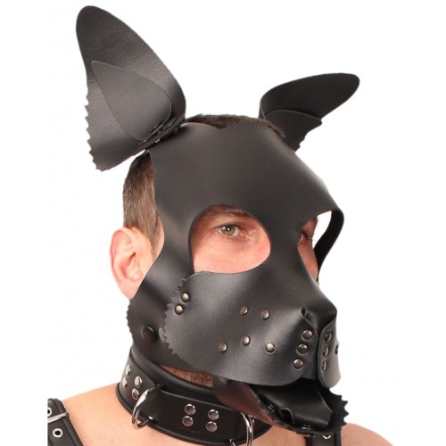 The Red Leather Puppy Dog Mask for Roleplay