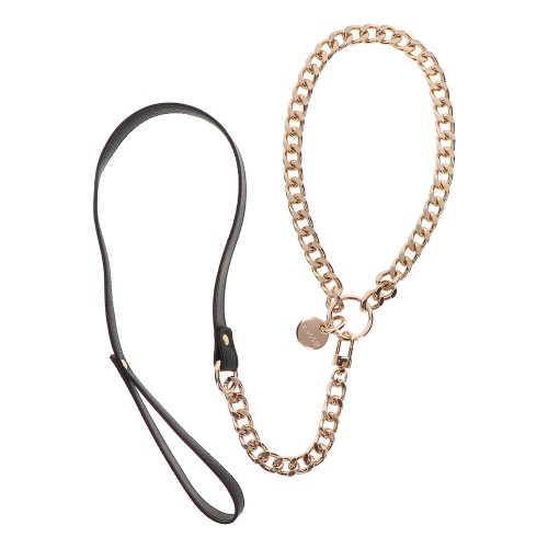 Taboom Dona Statement Collar And Leash for Bold Adventures